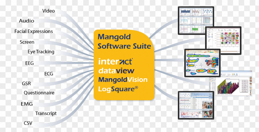 Mangold Computer Software Data Analysis System International GmbH PNG
