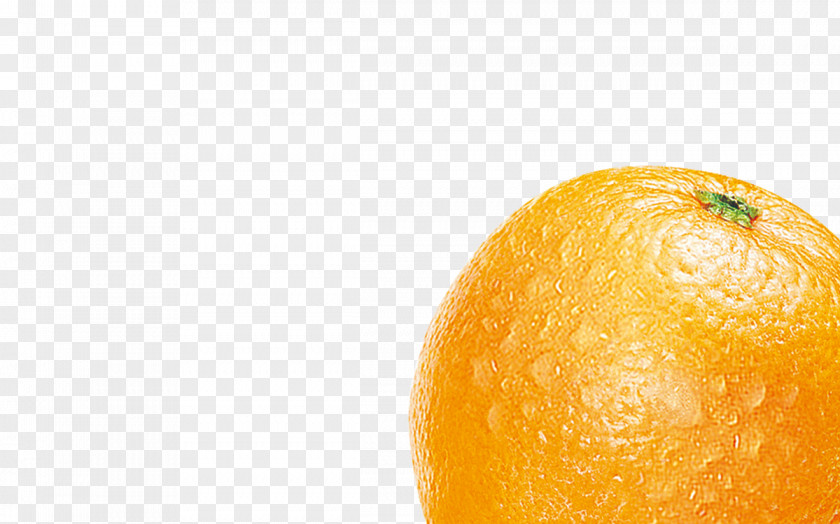 Orange Clementine Grapefruit Mandarin Tangerine Lemon PNG