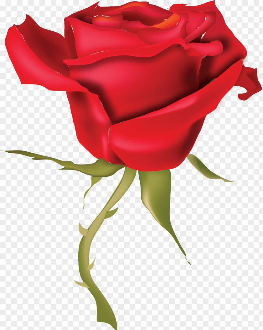 Red Rose Drawing Clip Art PNG