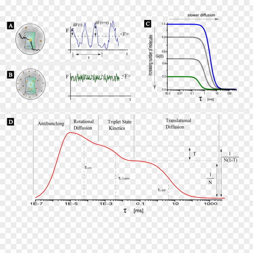 Rotational Spectroscopy Fluorescence Correlation Triplet State Autocorrelation PNG