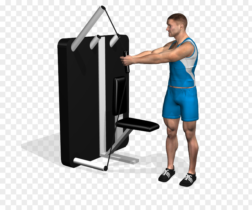 Standing Start Shoulder Cable Machine Rectus Abdominis Muscle Crunch Exercise PNG