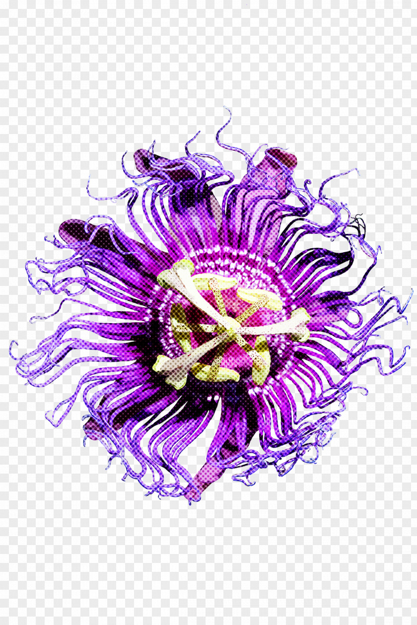 Violet Purple Passionflower Passion Flower PNG