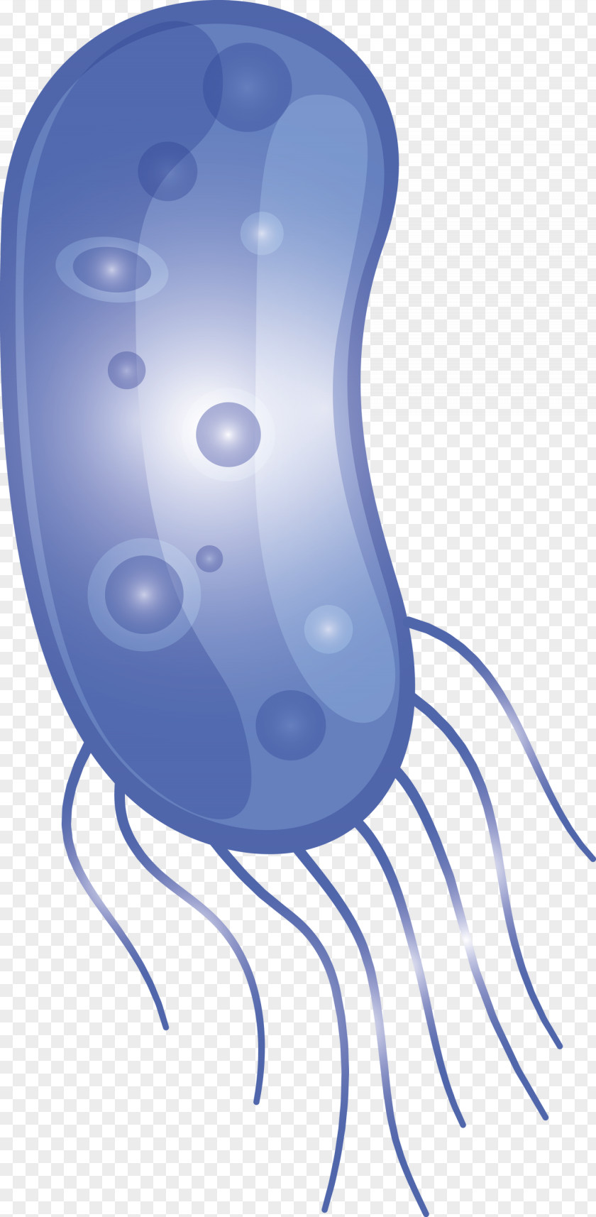 Coronavirus Corona COVID PNG