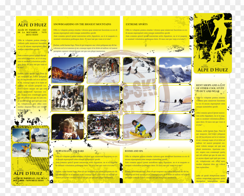 Design Graphic Brochure PNG