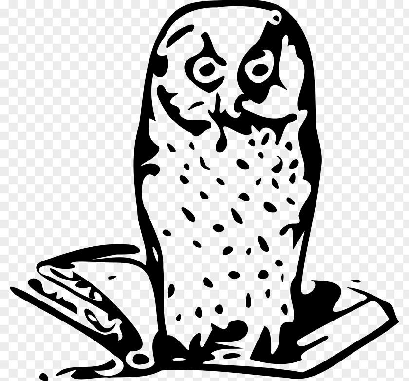 Harry Potter Owl Clip Art PNG