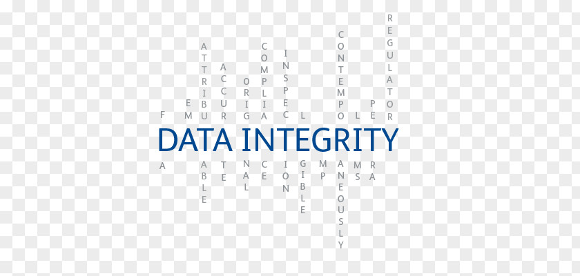 Integrity Of The World Logo Data Authentication Computer Security PNG