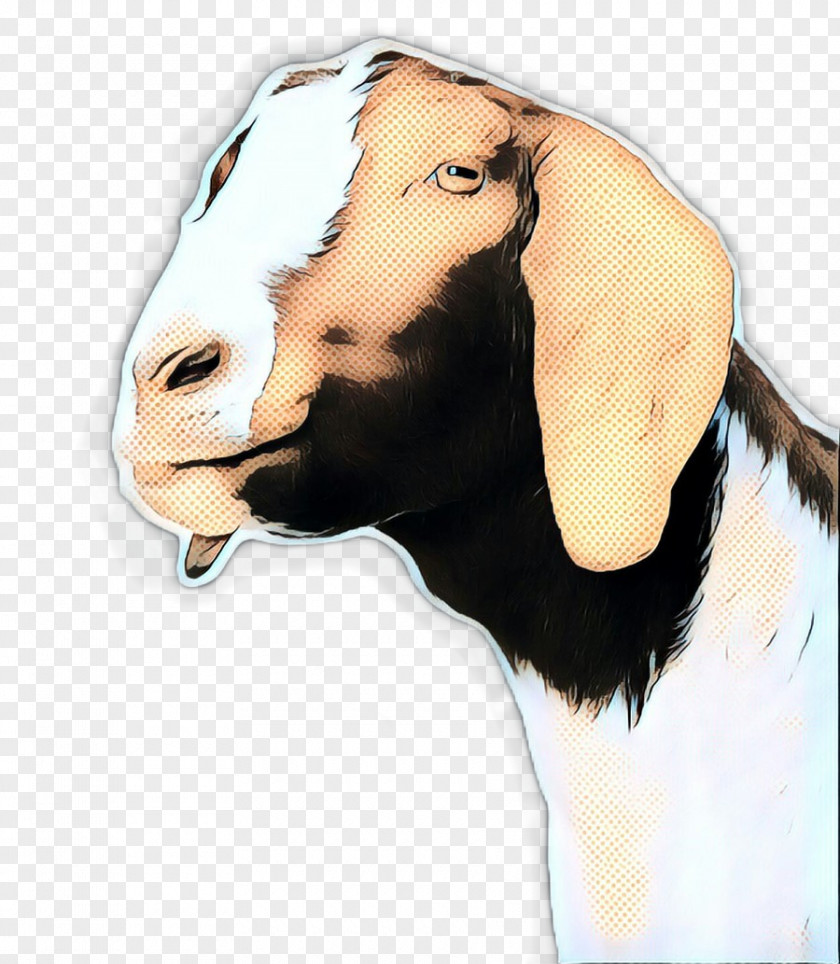 Livestock Goatantelope Goat Cartoon PNG