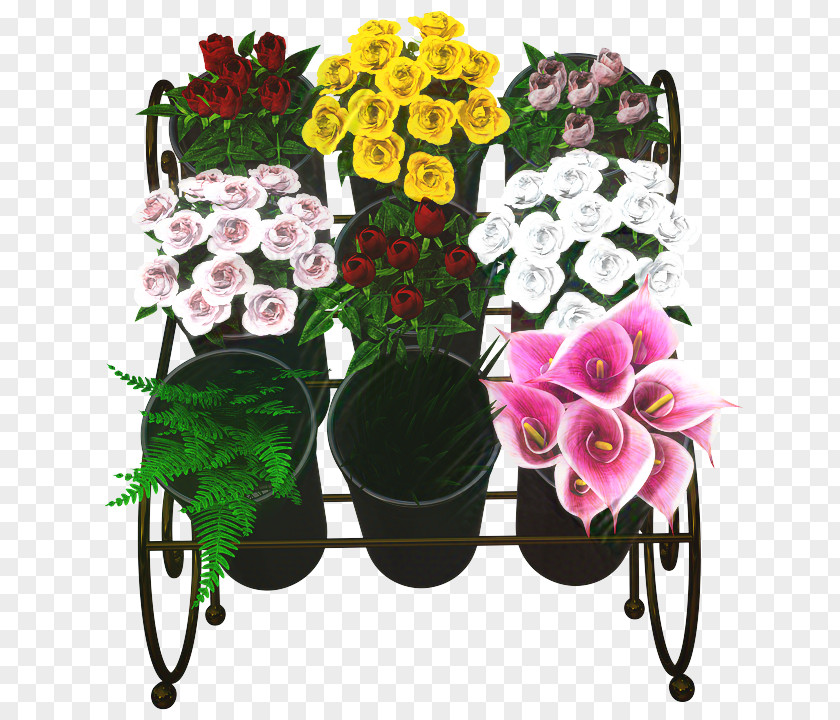 Perennial Plant Geranium Pink Flower Cartoon PNG