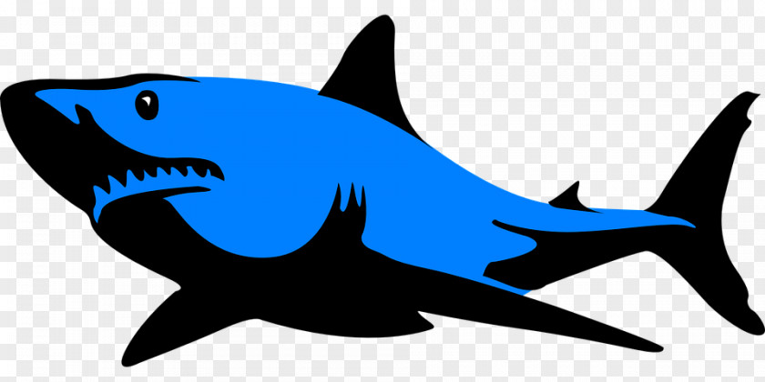 Shark Great White Blue Clip Art PNG