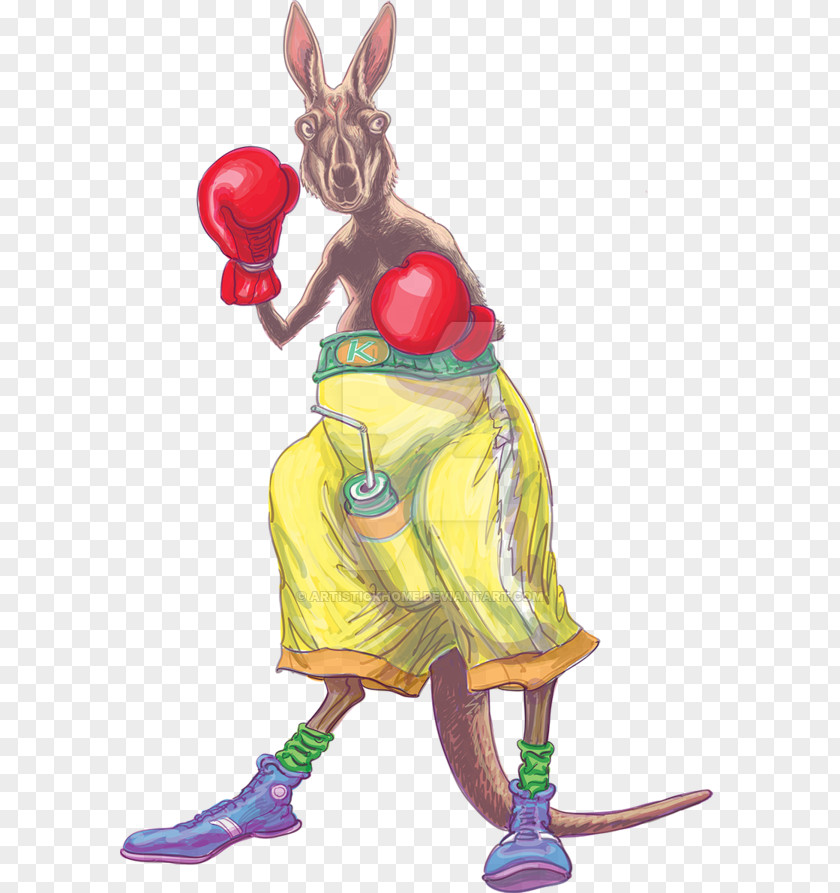 Boxing Kangaroo Australia Macropodidae PNG