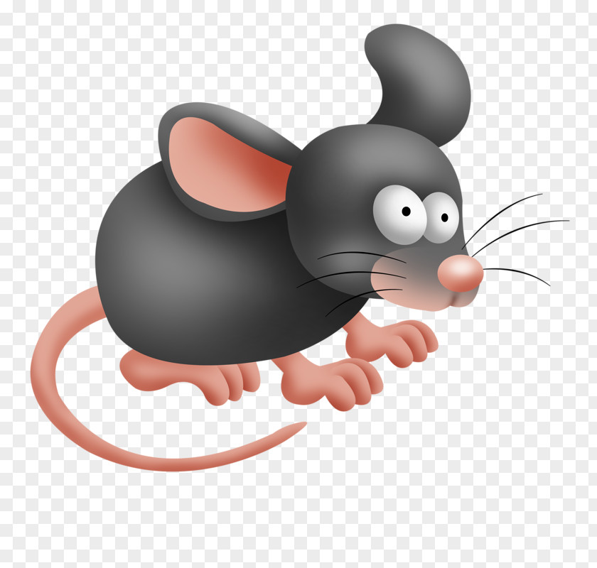 CENTER DESIGN Mouse Rat Rodent Drawing Clip Art PNG