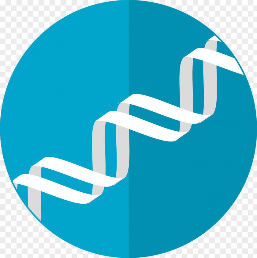 DNA Genetics Gene Therapy PNG