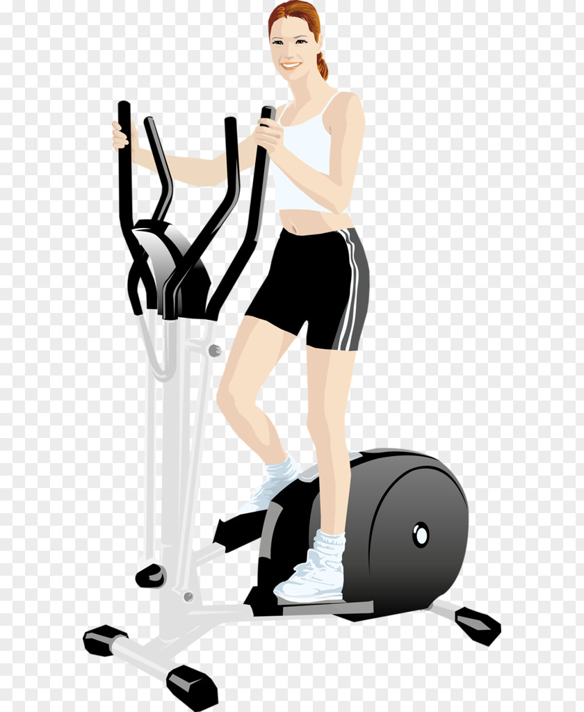 Elliptical Trainers Exercise Machine Sport Treadmill PNG