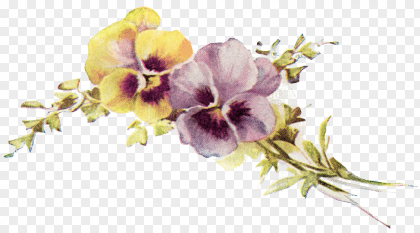 Flower Pansy Clip Art Image Design PNG