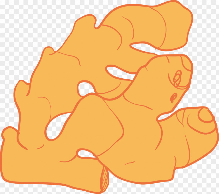 Hand-painted Ginger Clip Art PNG
