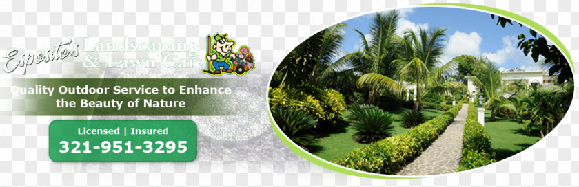 Lawn CAre Esposito's Landscaping & Malabar Melbourne Palm Bay PNG