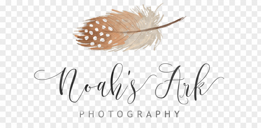 Noah's Arc Blog Photography Referenzen Like Button Photographer PNG