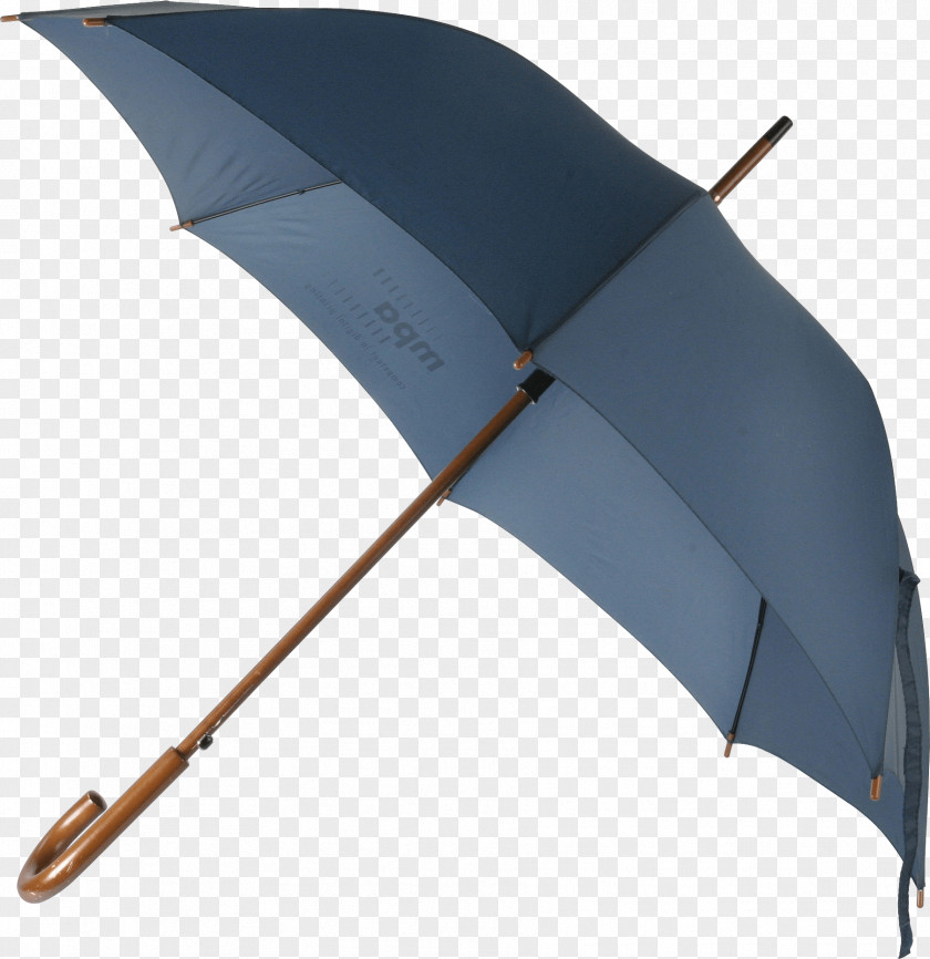 Umbrella Image Icon PNG