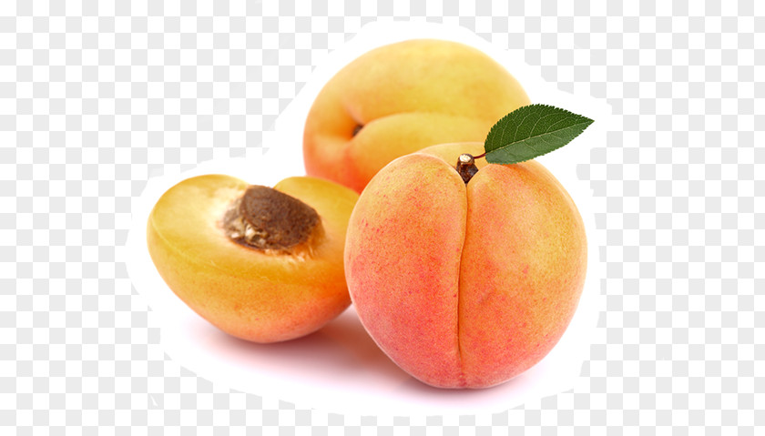 100 Percent Fresh Apricot Kernel Transparency Nectar PNG
