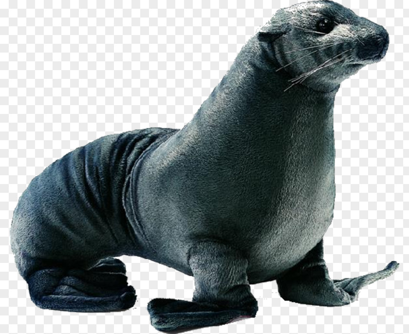 Black Seal Earless Eared Plush Stuffed Toy PNG