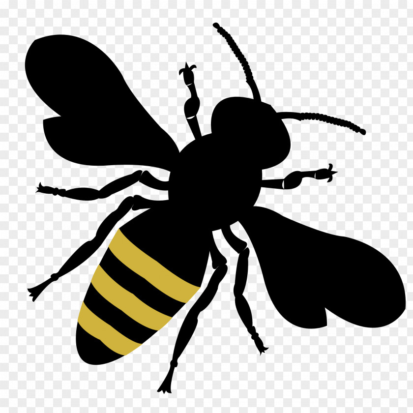 Bumblebee PNG