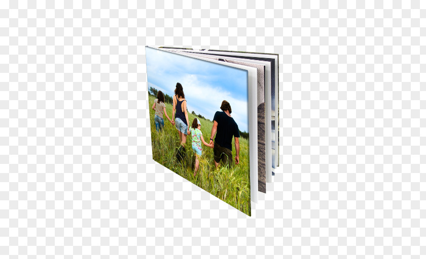Angle Picture Frames PNG