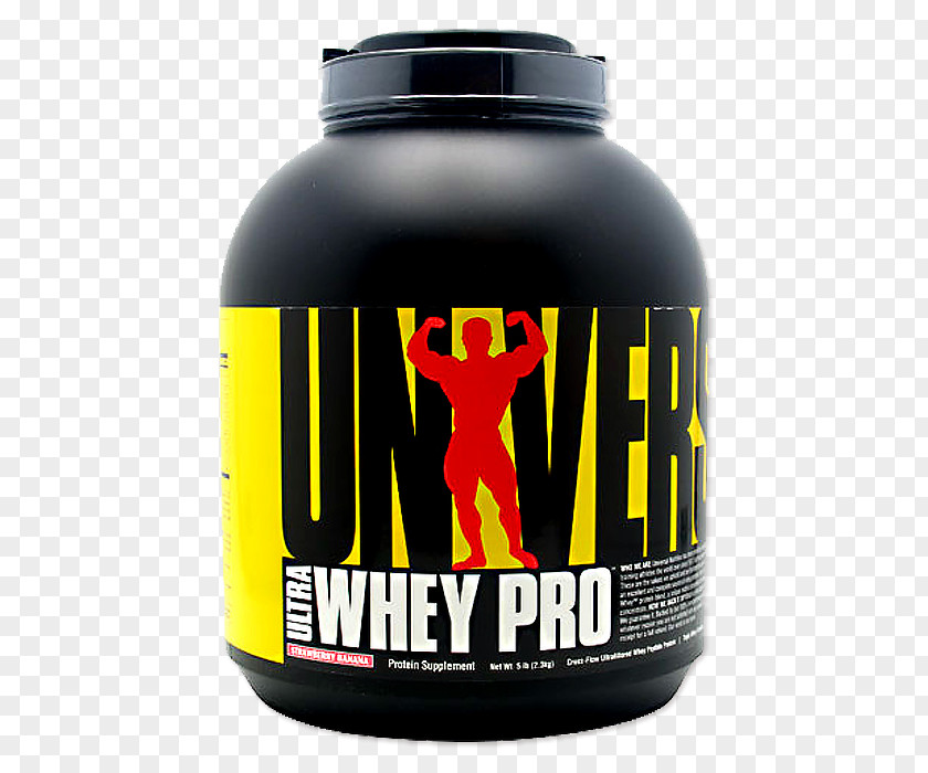 Chocolate Ice Cream Dietary Supplement Whey Protein Isolate PNG
