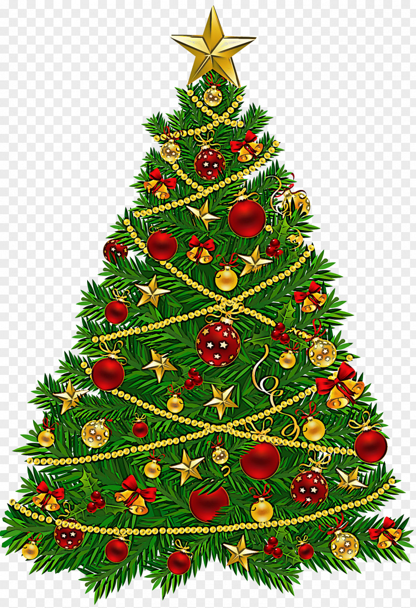 Christmas Tree PNG