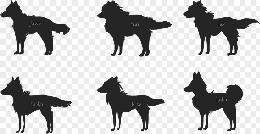 Silhouette Gray Wolf Schipperke Dog Breed Drawing PNG