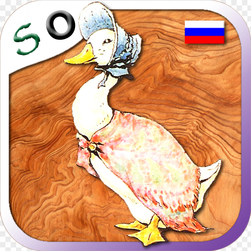 Duck The Tale Of Jemima Puddle-Duck Bird Animal Anatidae PNG