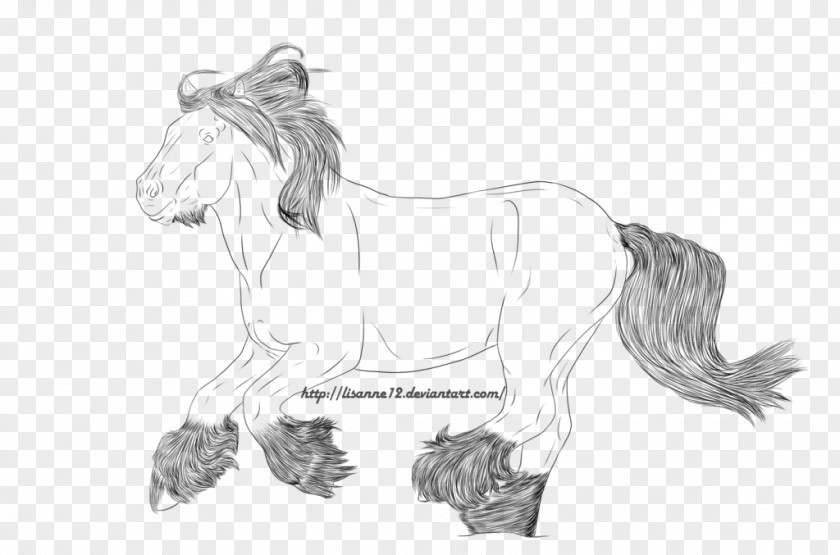 Gypsy Horse Halter Foal Stallion Mane Colt PNG
