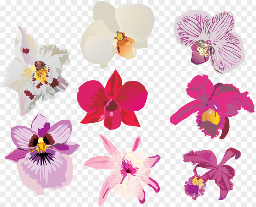 Pattern Flower Orchids PNG
