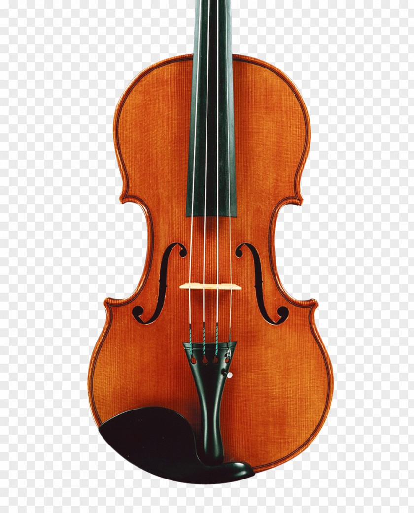 Violin Markneukirchen Musical Instrument Ukulele String PNG