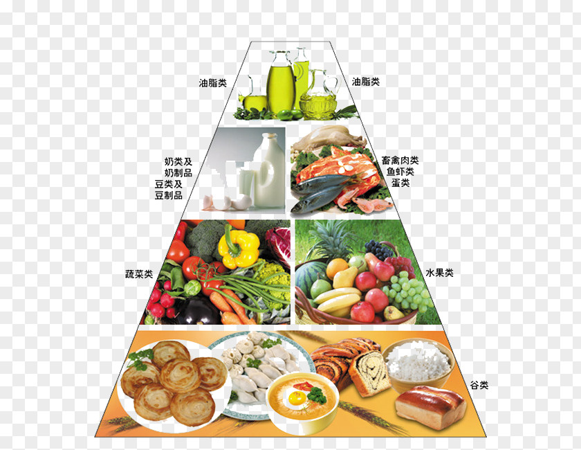 Food Pyramid Nutrient Eating Nutrition PNG