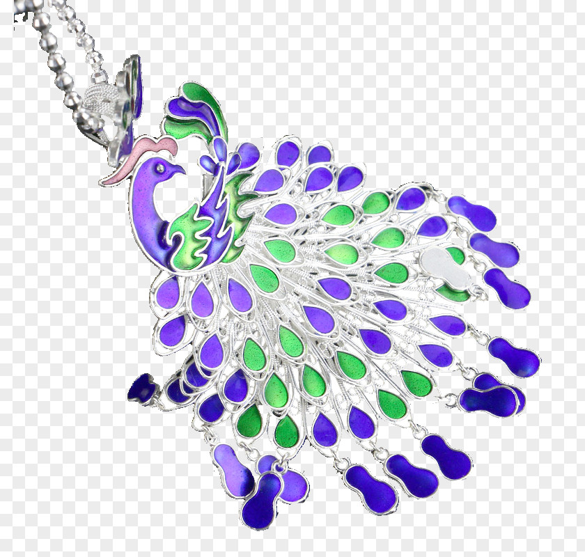 Peacock Pattern Silver Necklace Material Clip Art PNG