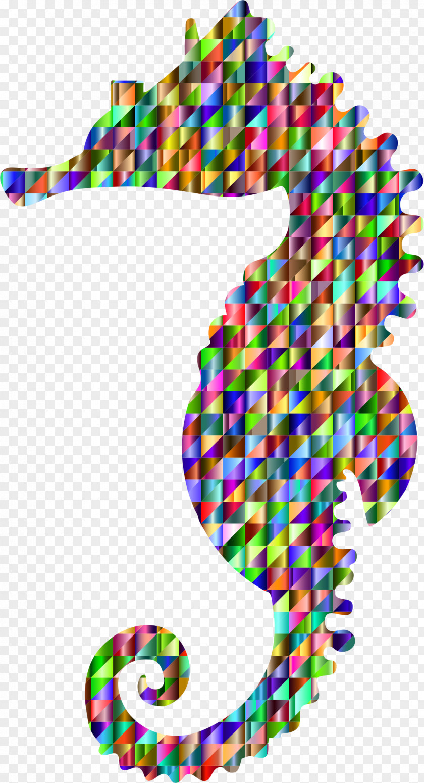 Seahorse Pygmy Clip Art PNG