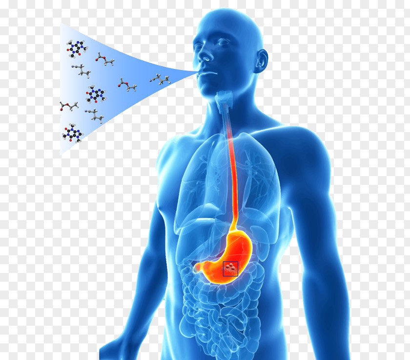 Breath Test Breathing Stomach Cancer Gas Analysis PNG test cancer gas analysis, others clipart PNG