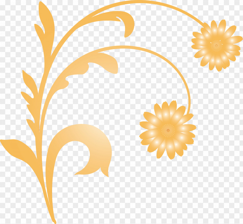 Floral Design PNG