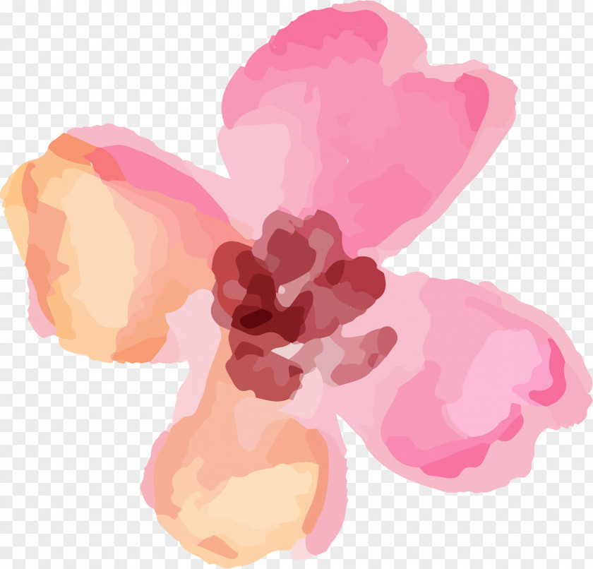 Flower Watercolour Petal Watercolor Painting Valentine's Day Clip Art PNG