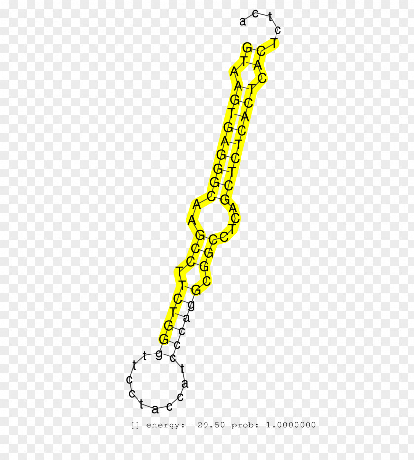 Necklace Earring Chain Colored Gold PNG