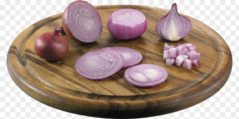 Onion Slices Red Shallot Vegetable Clip Art PNG