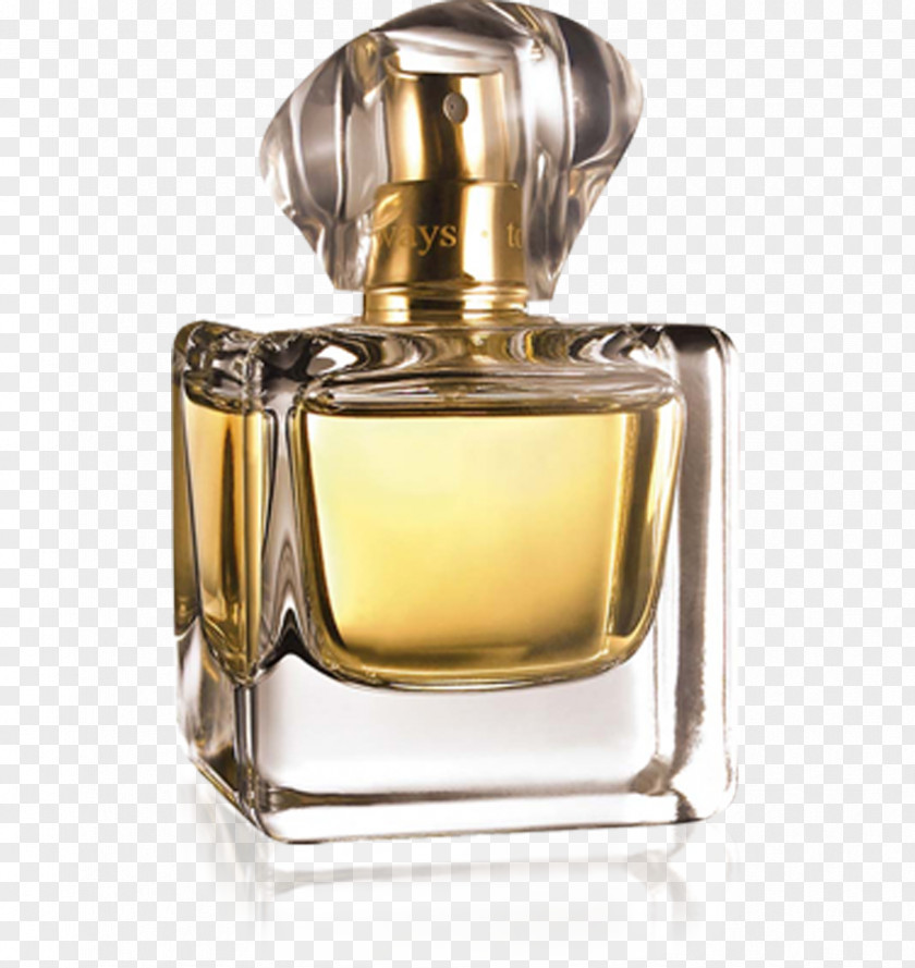 Perfume Avon Products Eau De Toilette Absolute Shower Gel PNG