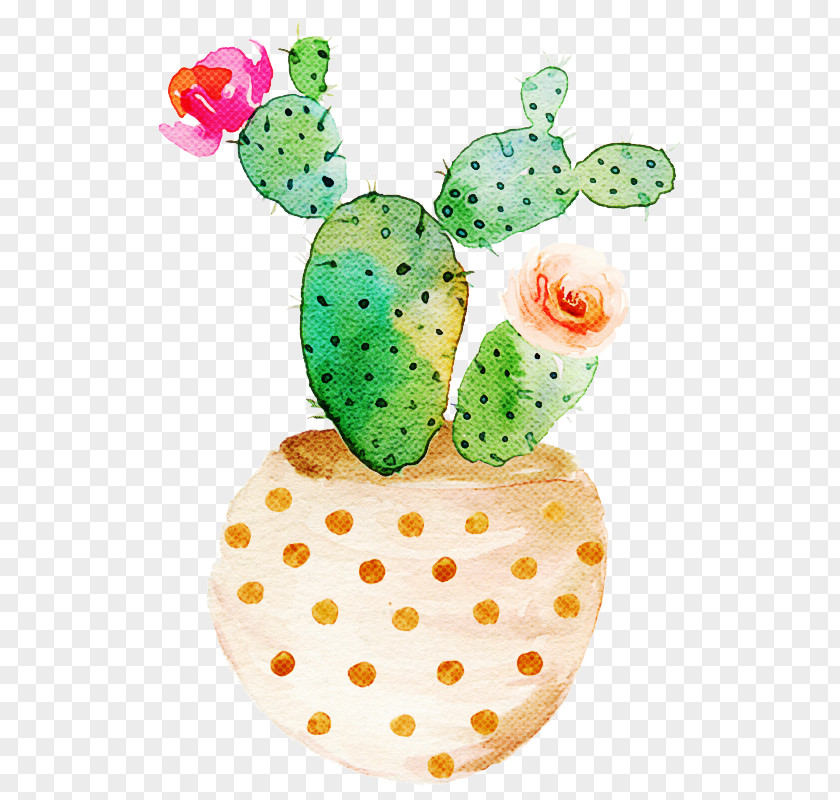 Prickly Pear Plant Watercolor PNG