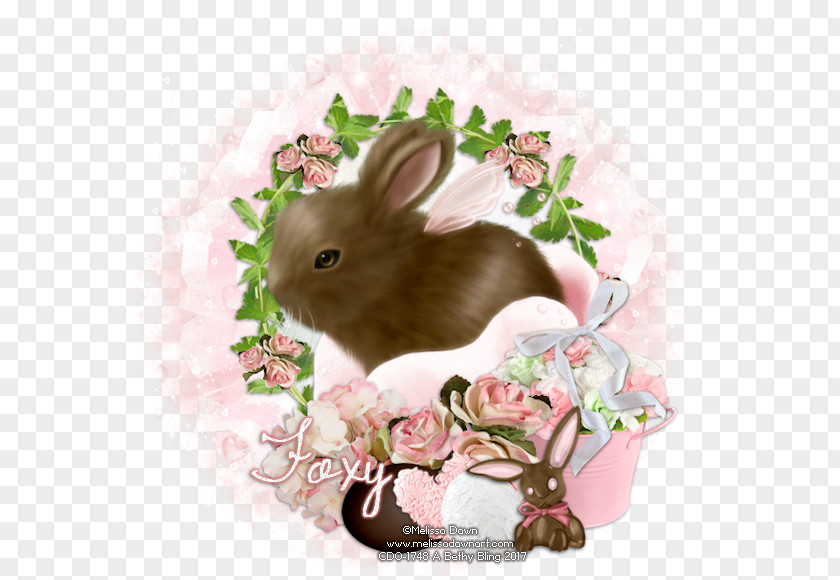 Rabbit Domestic Easter Bunny Hare PNG