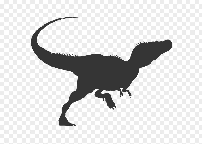 Raptor Cliparts Alectrosaurus Tyrannosaurus Late Cretaceous Achillobator Alamosaurus PNG