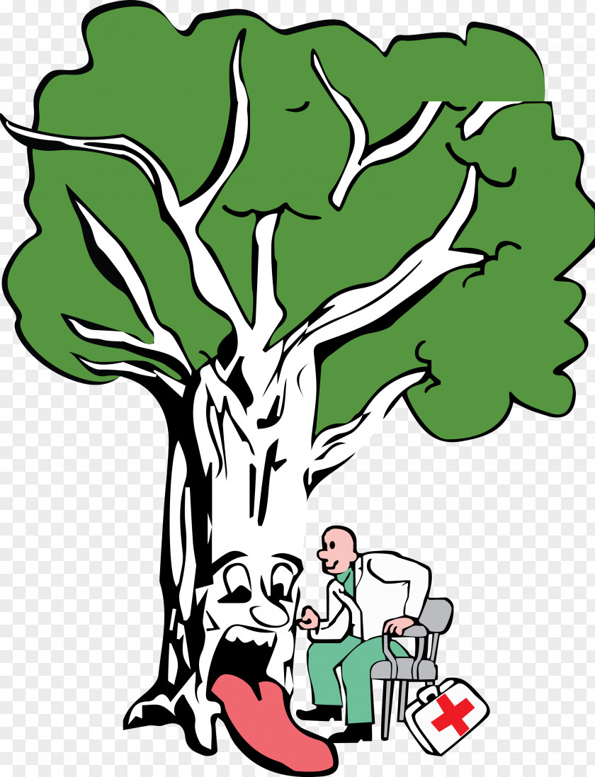 Tree Certified Arborist Arboriculture Clip Art Drawing PNG