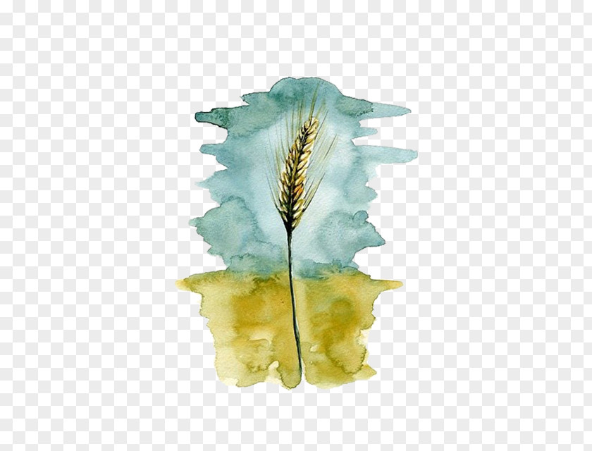 Yellow Wheat Watercolor Painting PNG