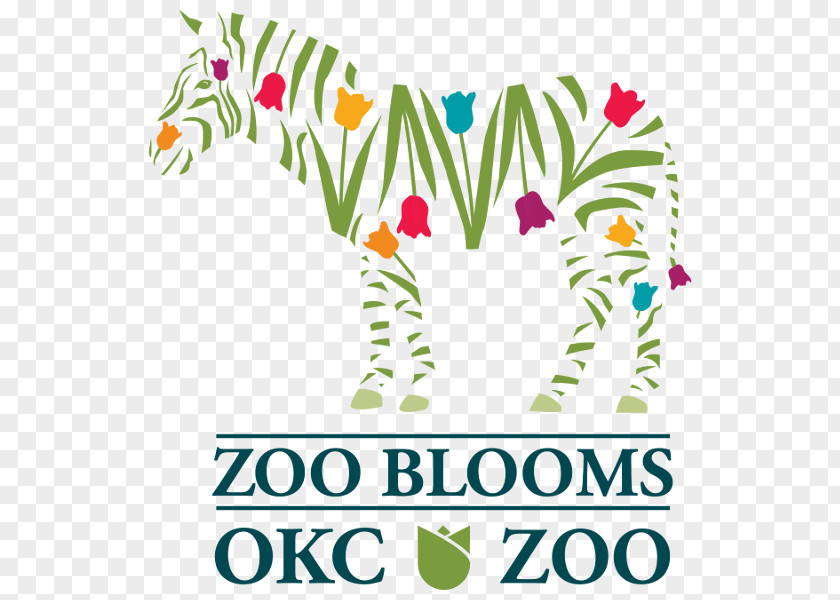 An Ostrich Egg Oklahoma City Zoo Floral Design Botanical Garden Kalidy, LLC PNG