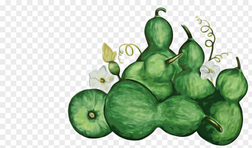 Vegetarian Food Superfood Tree Of Life PNG