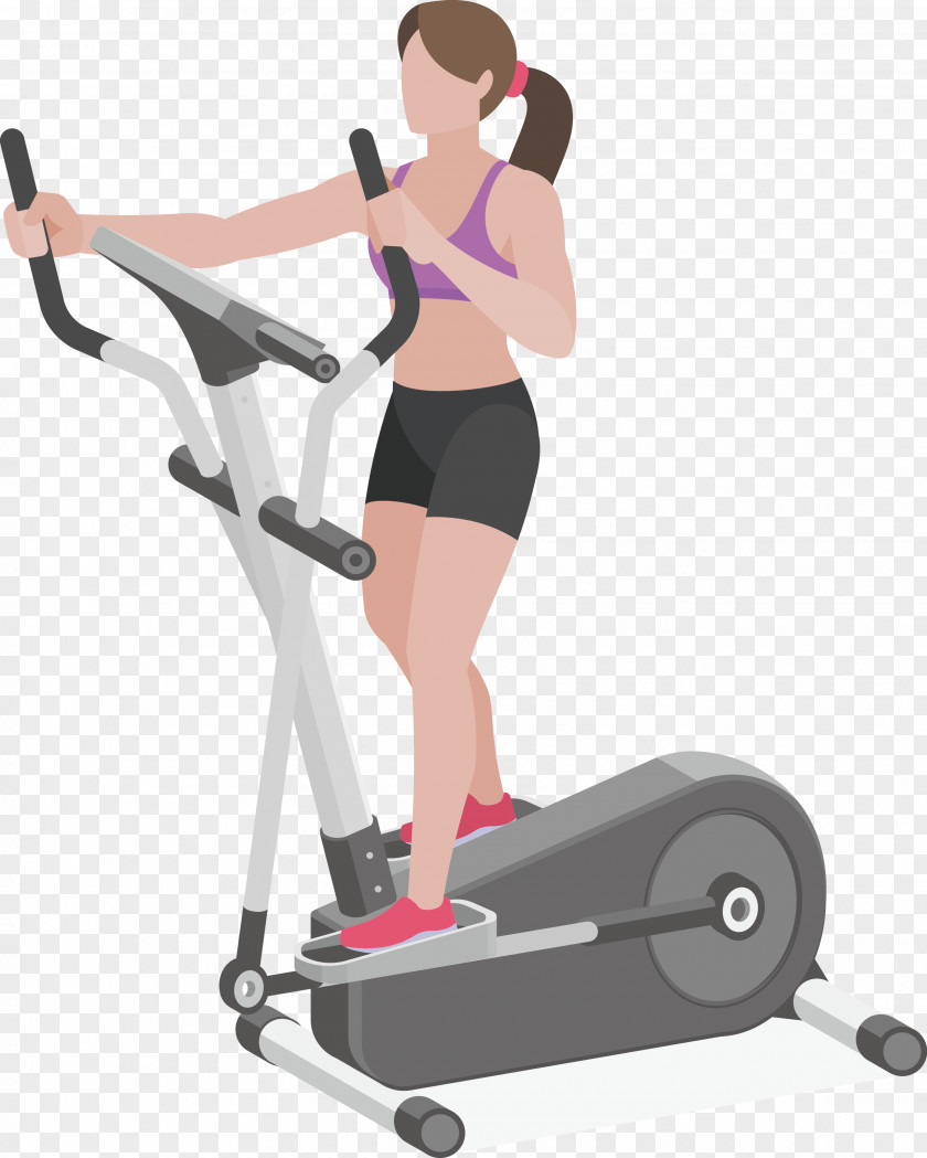 Beauty Legs Muscle Exercise Elliptical Trainer Physical Fitness Centre PNG